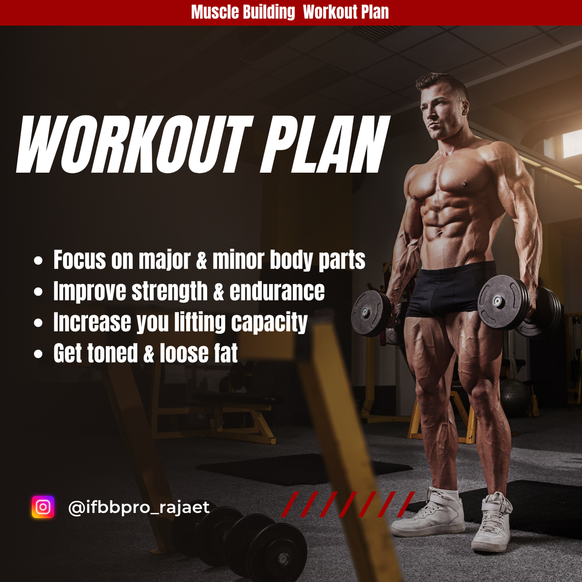 Workout Plan By Rajat Goel IFBB Pro